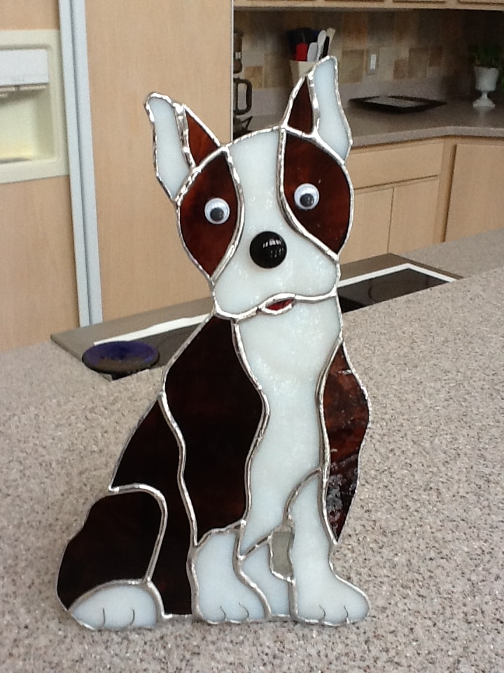 Boston Terrier